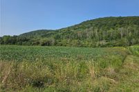 Land for sale in Cattaraugus County, New York