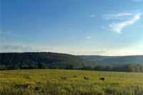 Land for sale in Chemung County, New York