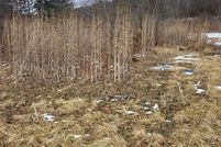 Recreational Property for sale in Chemung County, New York