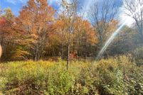 Farm and Ranch for sale in Delaware County, New York