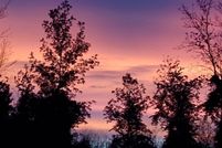 Timberland Property for sale in Monroe County, New York