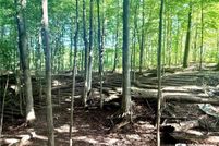 Land for sale in Chautauqua County, New York