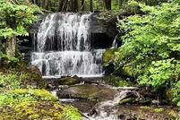 Land for sale in Delaware County, New York