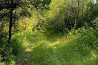 Land for sale in Schuyler County, New York