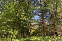 Land for sale in Tompkins County, New York