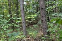 Land for sale in Cattaraugus County, New York