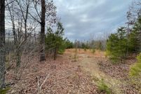 Undeveloped Land for sale in Buckingham County, Virginia