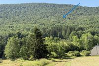 Land for sale in Delaware County, New York