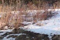 Land for sale in Oneida County, New York