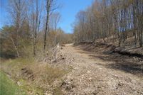 Land for sale in Delaware County, New York