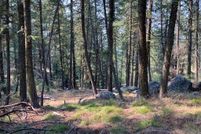 Farm and Ranch for sale in Valley County, Idaho