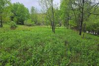 Timberland Property for sale in Allegany County, New York