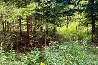 Land for sale in Cortland County, New York