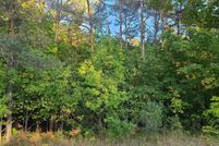 Undeveloped Land for sale in Kalkaska County, Michigan