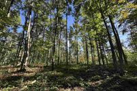 Land for sale in Antrim County, Michigan