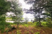 Timberland Property for sale in Barron County, Wisconsin