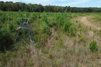 Undeveloped Land for sale in Dorchester County, South Carolina