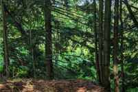 Waterfront Property for sale in Jefferson County, New York