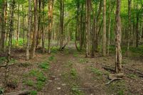 Undeveloped Land for sale in Otsego County, New York