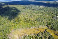 Land for sale in Lewis County, New York