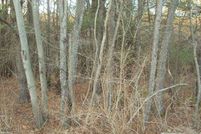Undeveloped Land for sale in Otsego County, New York