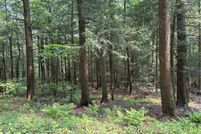 Land for sale in Livingston County, New York