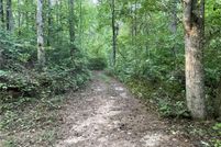 Land for sale in Dawson County, Georgia