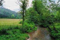 Undeveloped Land for sale in Gilmer County, Georgia