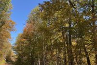 Undeveloped Land for sale in Hubbard County, Minnesota