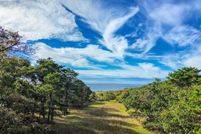 Undeveloped Land for sale in Dukes County, Massachusetts