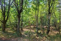 Land for sale in Mason County, Washington