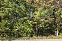 Land for sale in Gladwin County, Michigan