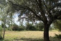 Land for sale in Okeechobee County, Florida