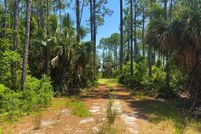 Land for sale in Gulf County, Florida
