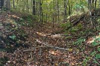 Land for sale in Polk County, Wisconsin