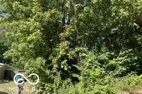 Undeveloped Land for sale in Marion County, Indiana