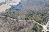 Land for sale in Henderson County, Tennessee