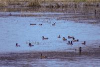 Land for sale in Columbia County, Oregon