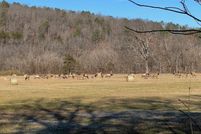 Land for sale in Searcy County, Arkansas