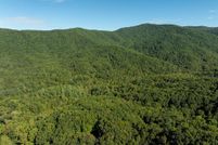 Undeveloped Land for sale in Gilmer County, Georgia