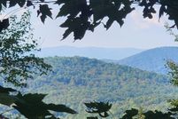 Undeveloped Land for sale in Fannin County, Georgia