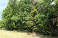Undeveloped Land for sale in Levy County, Florida