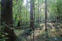 Land for sale in Mecklenburg County, Virginia