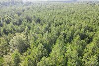 Land for sale in Screven County, Georgia