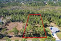 Land for sale in Osceola County, Florida
