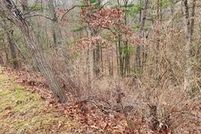 Land for sale in Shenandoah County, Virginia