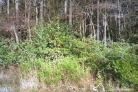 Land for sale in Santa Rosa County, Florida