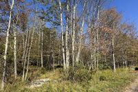 Land for sale in Wayne County, Pennsylvania