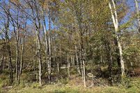 Undeveloped Land for sale in Wayne County, Pennsylvania