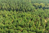 Undeveloped Land for sale in McCurtain County, Oklahoma